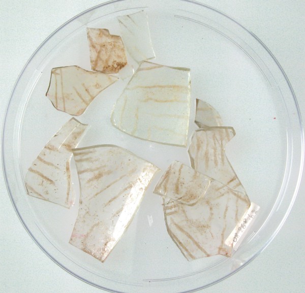 Glass Fragments