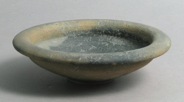 Dish