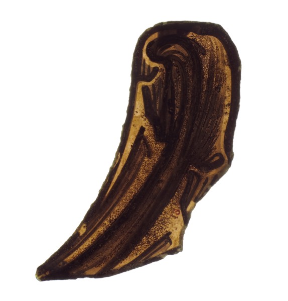 Glass Fragment