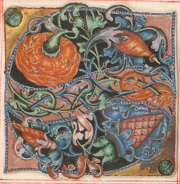 Manuscript Illumination with Initial S