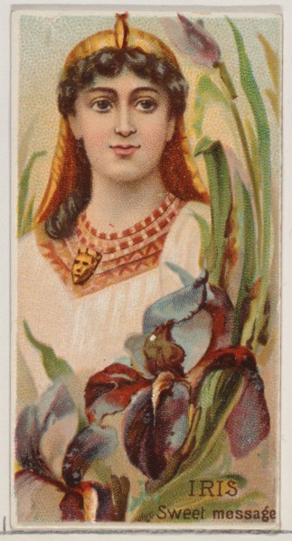 Iris: Sweet Message, from the series Floral Beauties and Language of Flowers (N75) for Duke brand cigarettes, 1892.