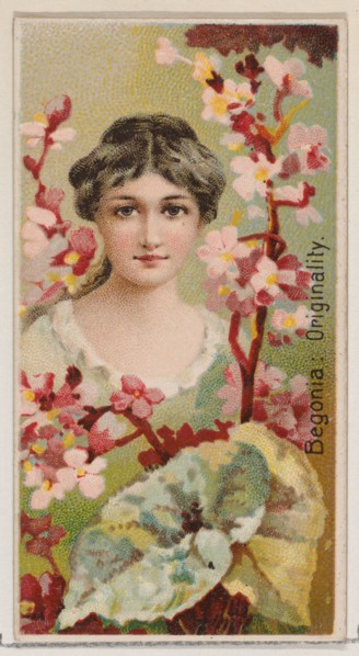 Begonia: Originality, from the series Floral Beauties and Language of Flowers (N75) for Duke brand cigarettes, 1892.