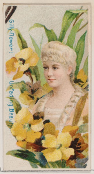 Gilly-flower: Unfading Beauty, from the series Floral Beauties and Language of Flowers (N75) for Duke brand cigarettes, 1892.