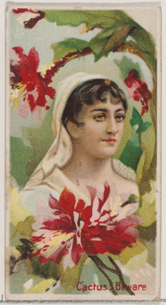 Cactus: Beware, from the series Floral Beauties and Language of Flowers (N75) for Duke brand cigarettes, 1892.