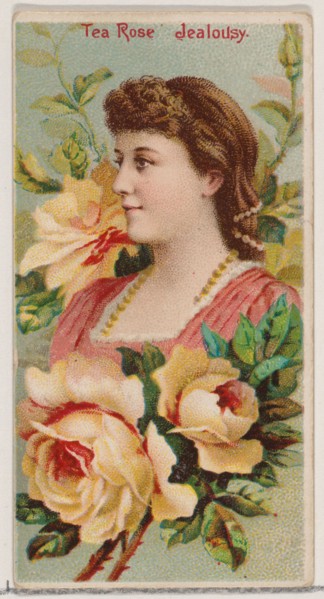Tea Rose: Jealousy, from the series Floral Beauties and Language of Flowers (N75) for Duke brand cigarettes, 1892.