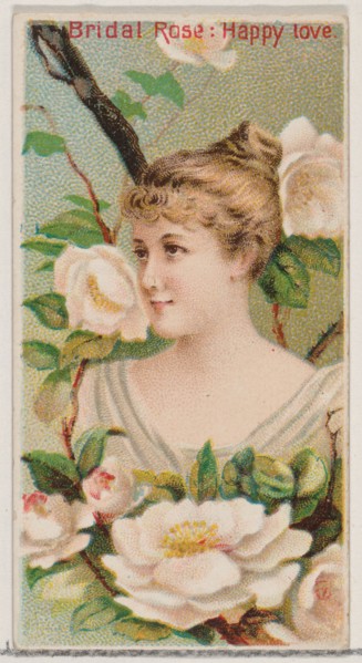 Bridal Rose: Happy Love, from the series Floral Beauties and Language of Flowers (N75) for Duke brand cigarettes, 1892.