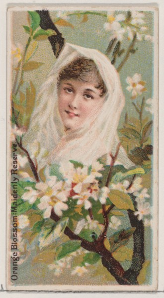 Orange Blossom: Maidenly Reserve, from the series Floral Beauties and Language of Flowers (N75) for Duke brand cigarettes, 1892.