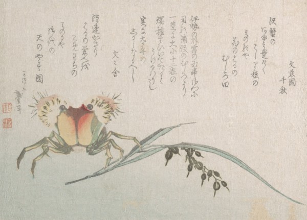 Crab and Rice Plant, 19th century.
