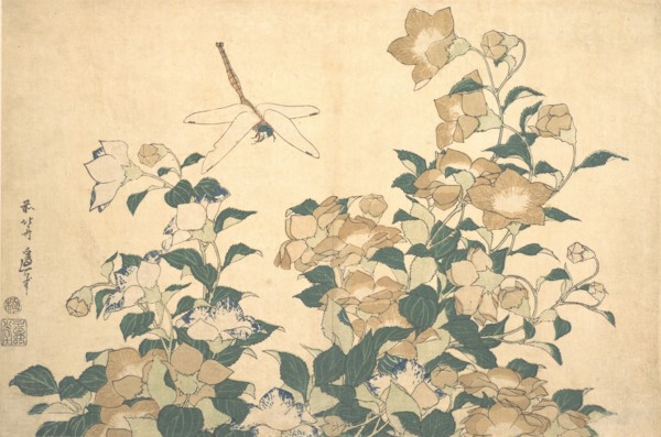 Dragonfly and Bellflower, late 1820s.