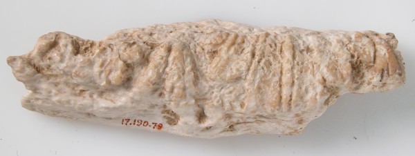 Relief Fragment with Floral Design, Coptic, 6th-7th century.