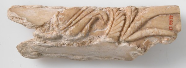 Relief Fragment with Floral Design, Coptic, 6th-7th century.