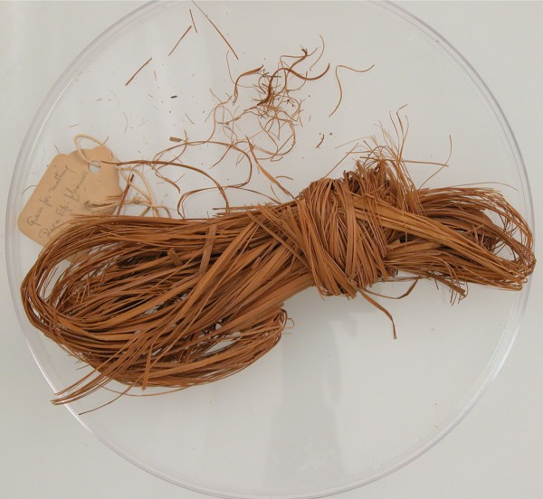 Bundle of Grass, Coptic, 580-640.