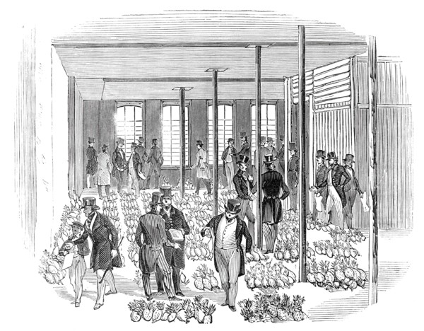 Sale of West India Pine Apples, 1844. Creator: Unknown.