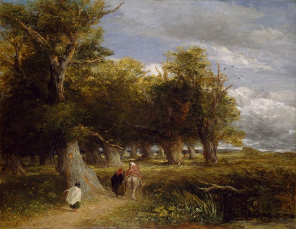 The Skirts of the Forest