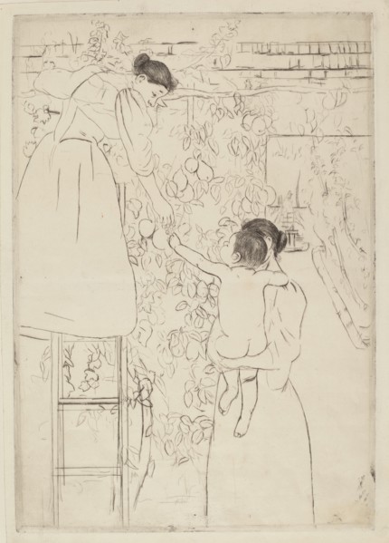 Gathering Fruit