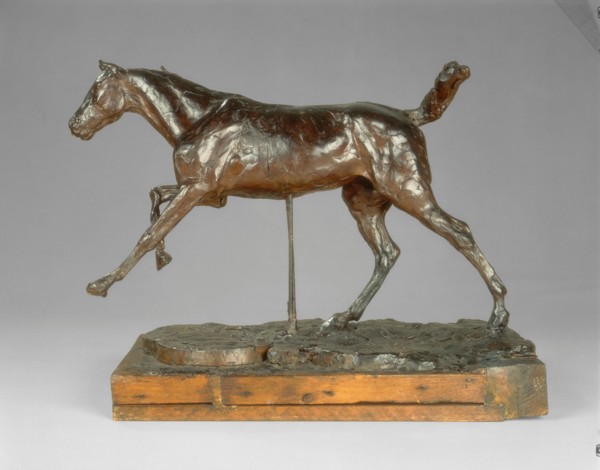 Horse Galloping on the Right Foot