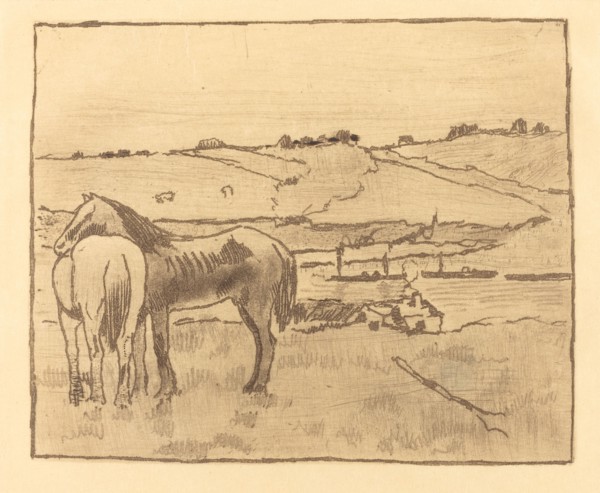 Horses in the Meadow