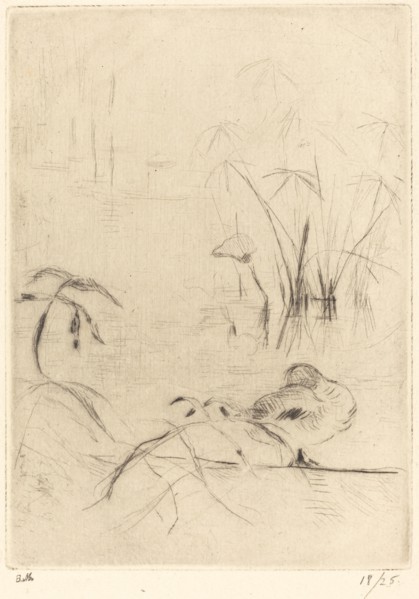 Ducks at Rest on the Bank