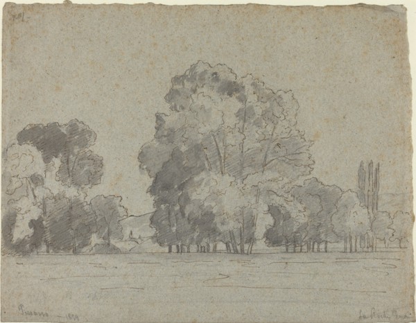 Grove of Trees