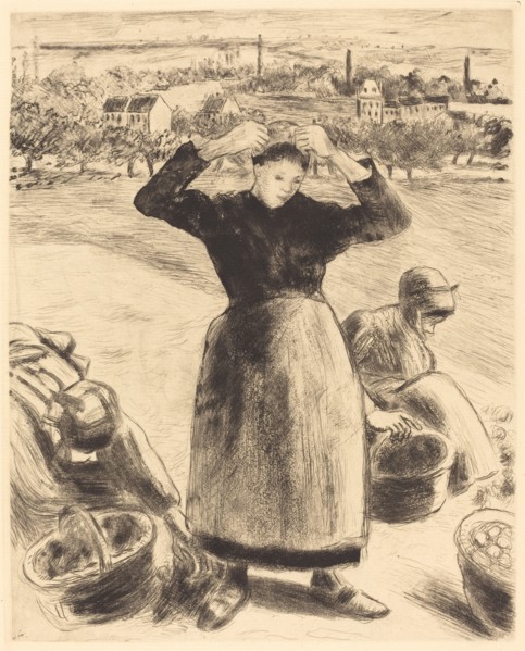 Gathering Potatoes