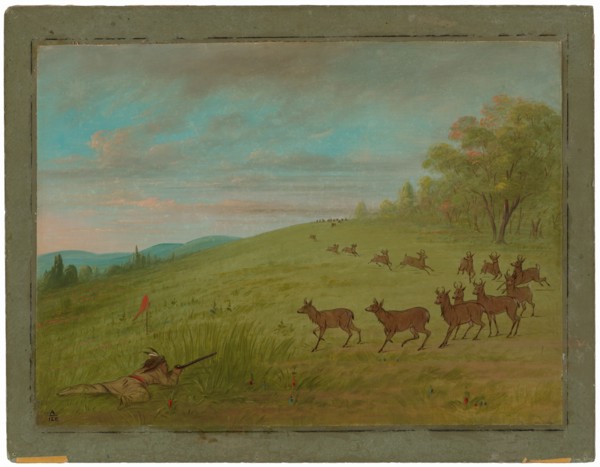 Antelope Shooting - Assinneboine