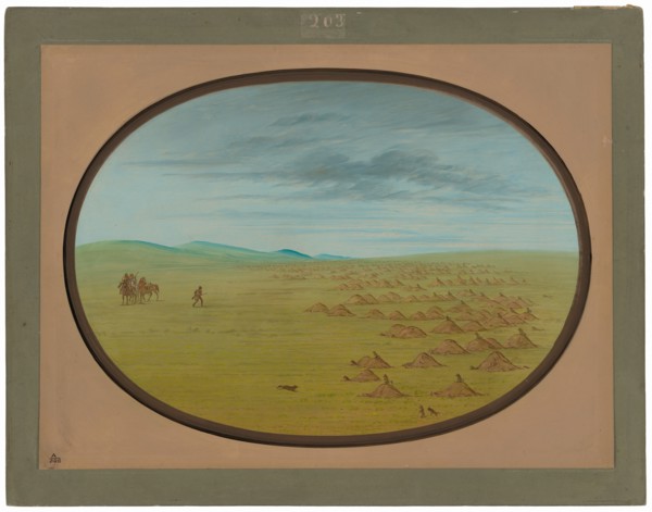Prairie Dog Village