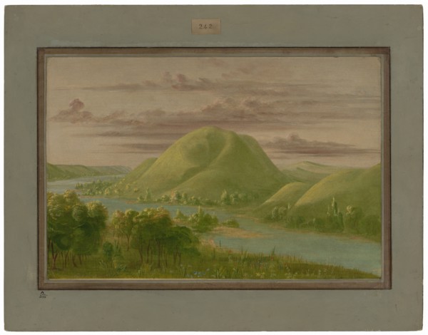 Curious Grassy Bluffs