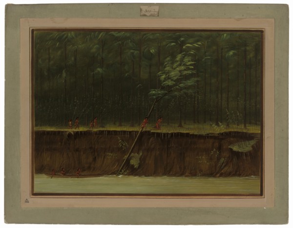 View of the Lower Mississippi