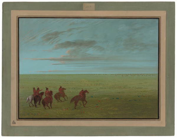 Connibos Starting for Wild Horses