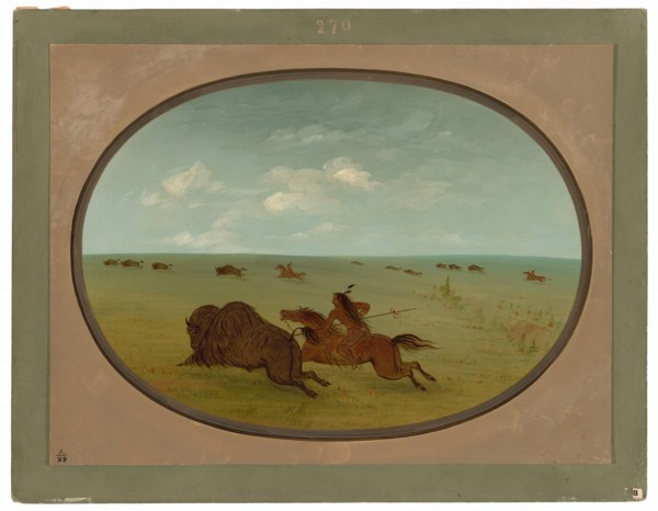 Buffalo Chase
