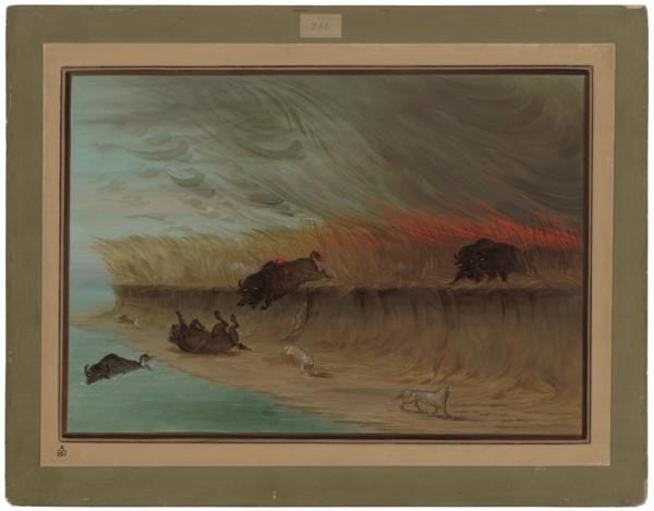 Prairie Meadows Burning