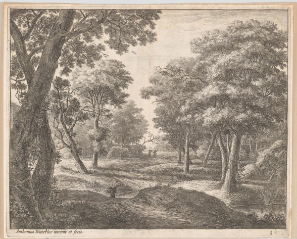 A Path Through the Woods