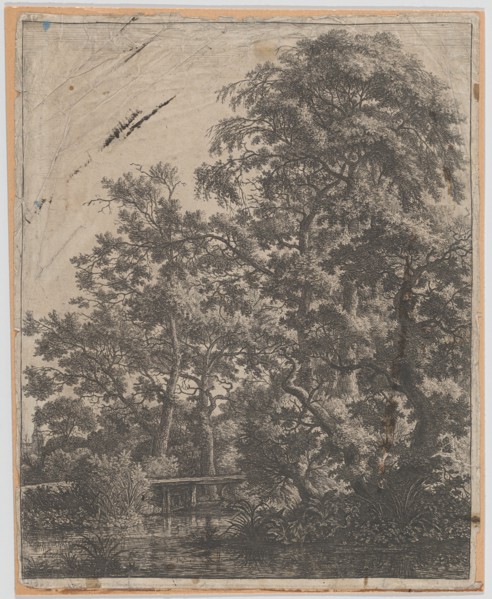 A Small Bridge over a Stream