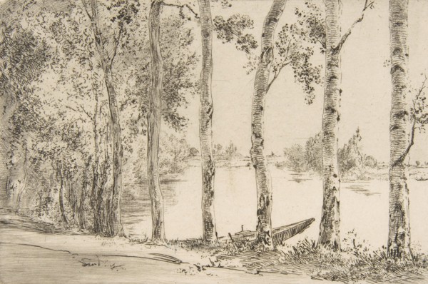 Trembles au bord de la Seine
