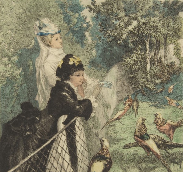In the Zoological Garden