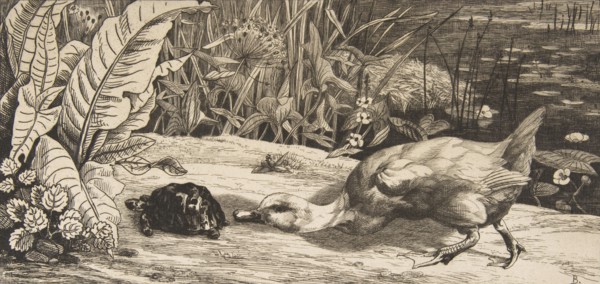 L'Inconnu