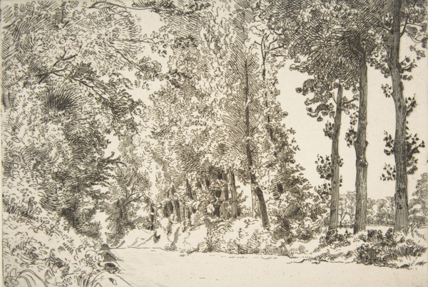 Rue des Bruyères