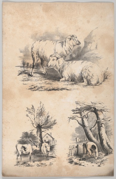 Vignette with two sheep
