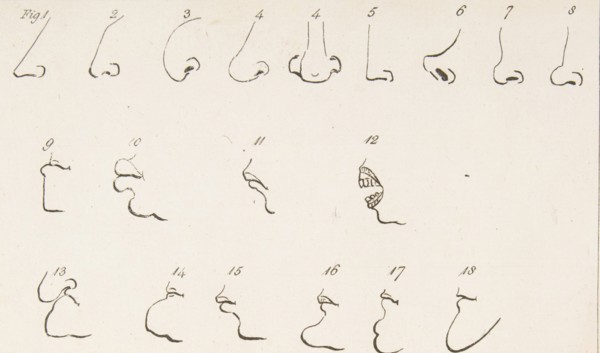 Plate II