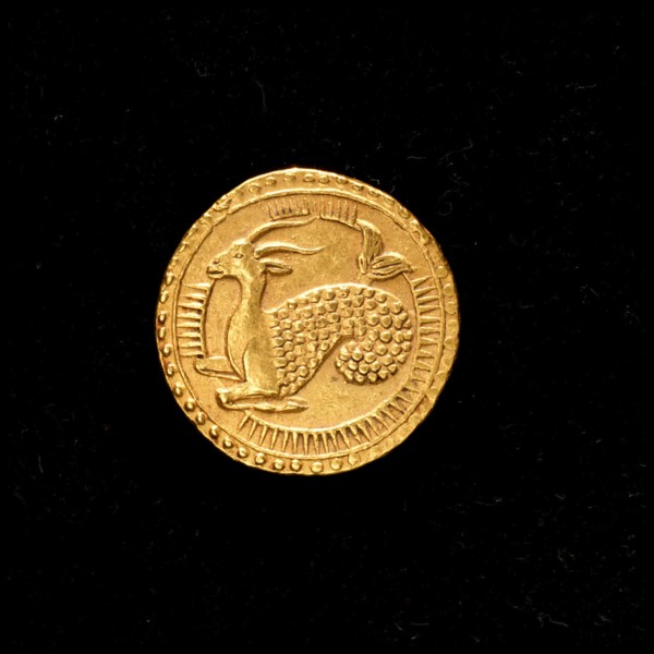 Coin