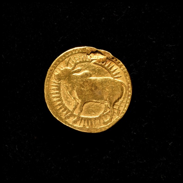Coin