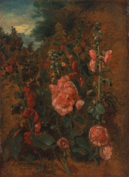 Study of Hollyhocks;Hollyhocks, ca. 1826.