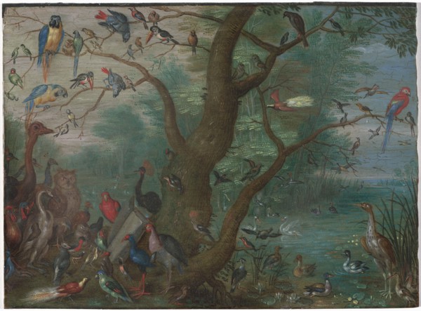 Concert of Birds, 1660/1670.