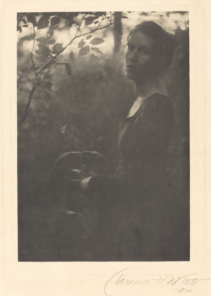 Edge of the Woods, Evening, 1900.