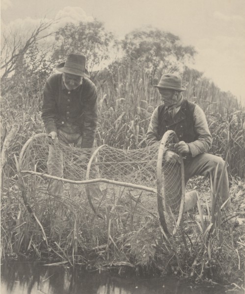 Setting Up the Bow-Net, 1886.