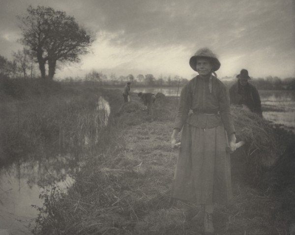 Poling the Marsh Hay, 1886.