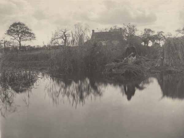 Quanting the Gladdon, 1886.