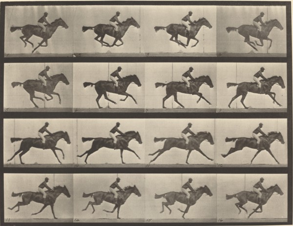Plate Number 626. Gallop, thoroughbred bay mare, Annie G., 1887.