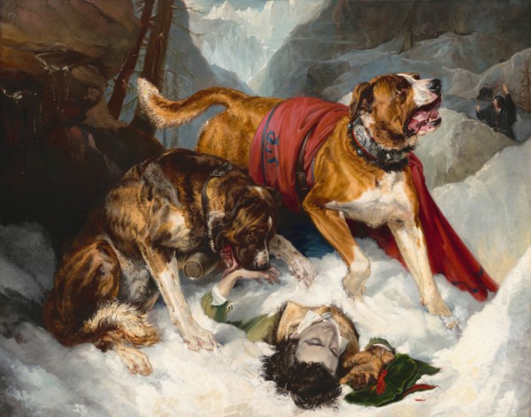 Alpine Mastiffs Reanimating a Distressed Traveler, 1820.