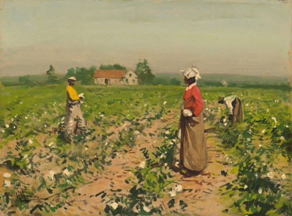 Picking Cotton, c. 1890.